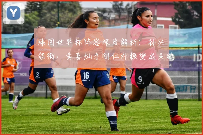 韩国世界杯阵容深度解析：孙兴慜领衔，黄喜灿李刚仁朴振燮成关键
